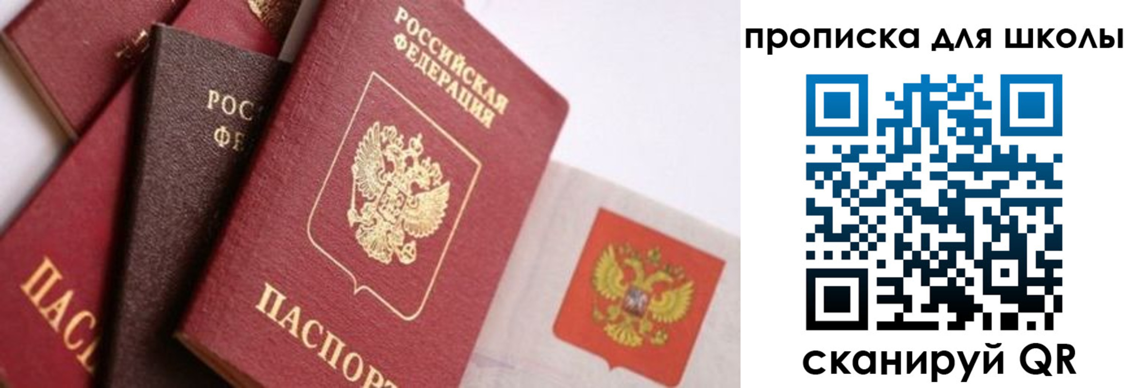 прописка поиск в Сунже